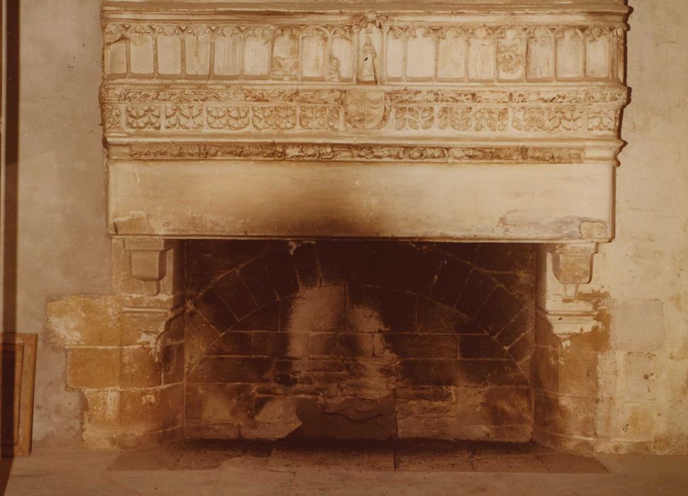 Manoir de Vau de Quip : Salon d’honneur, cheminée monumentale, vue générale