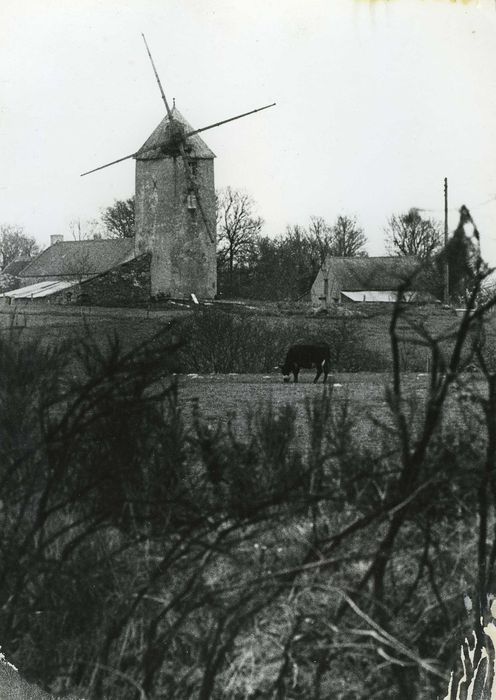 Moulin à vent de Billion : Vue générale du moulin dans son environnement