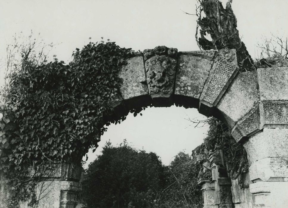 Château de Rimaison : Vue partielle des ruines