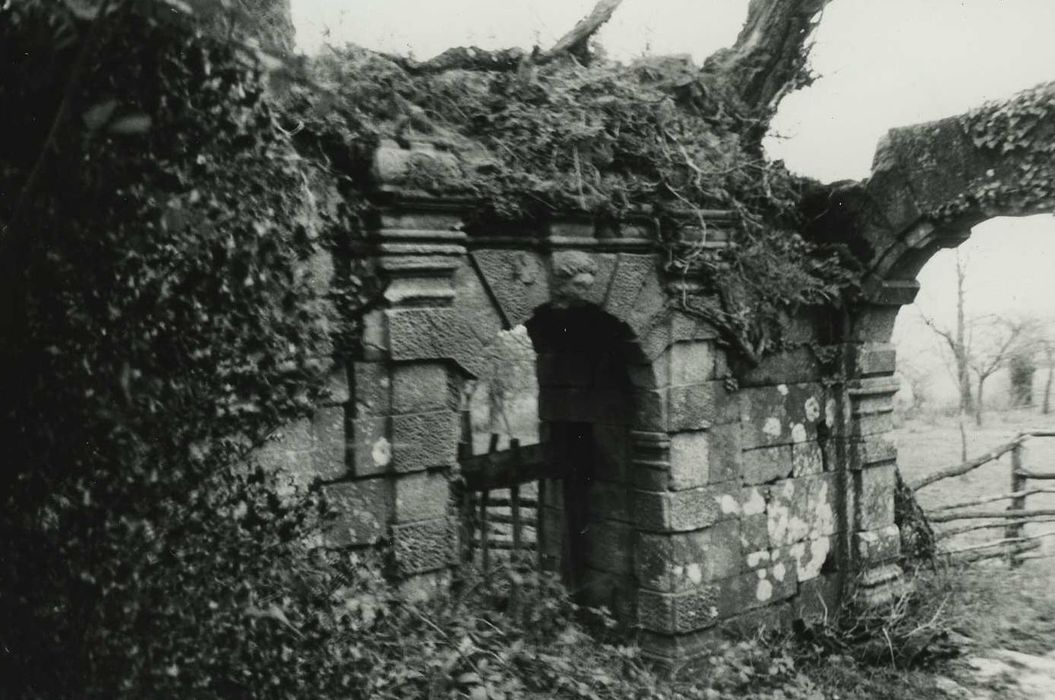 Château de Rimaison : Vue partielle des ruines