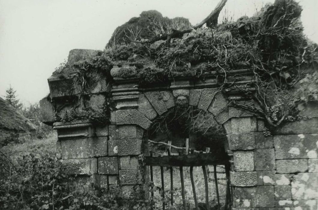 Château de Rimaison : Vue partielle des ruines