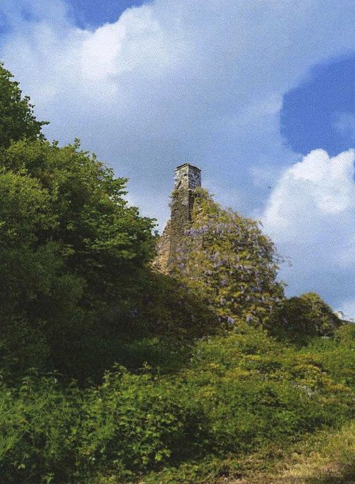 Manoir de Kerbourvellec : Vue partielle des ruines