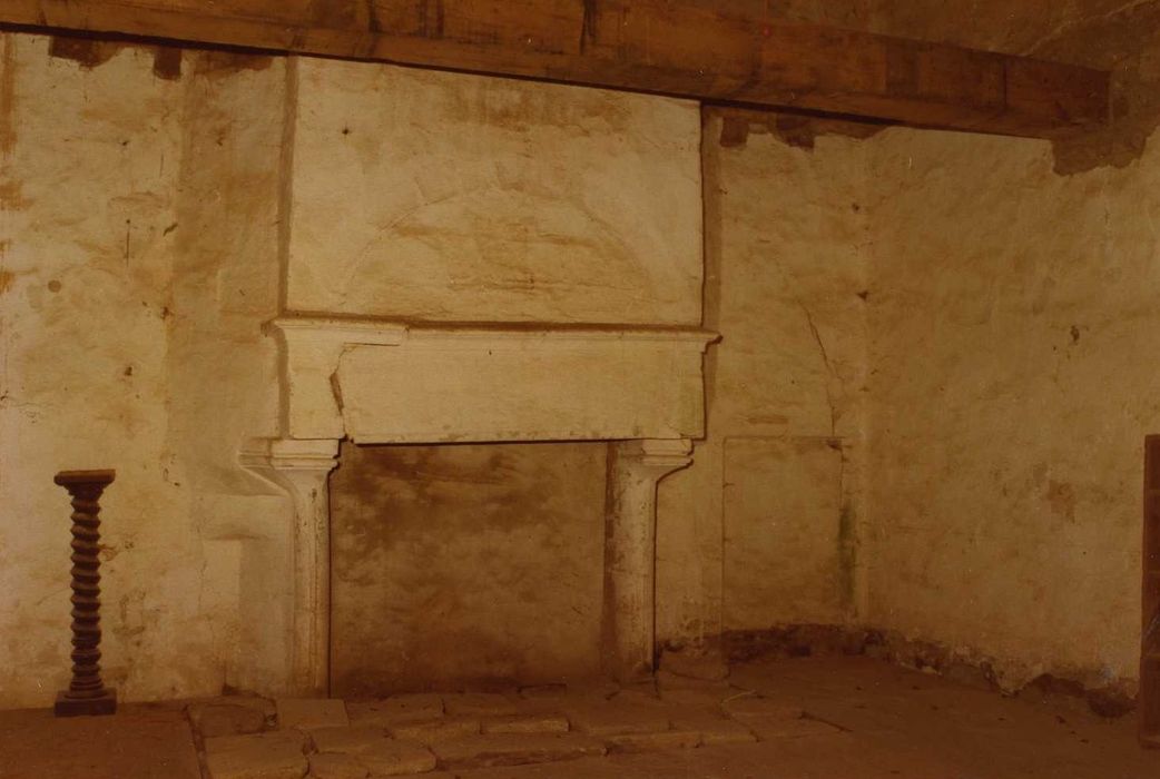 Château du Plessis-Josso : Logis, 1er étage, cheminée monumentale, vue générale