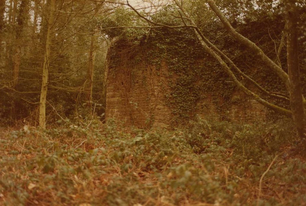 Château du Plessis-Josso : Remparts, angle nord, vue partielle