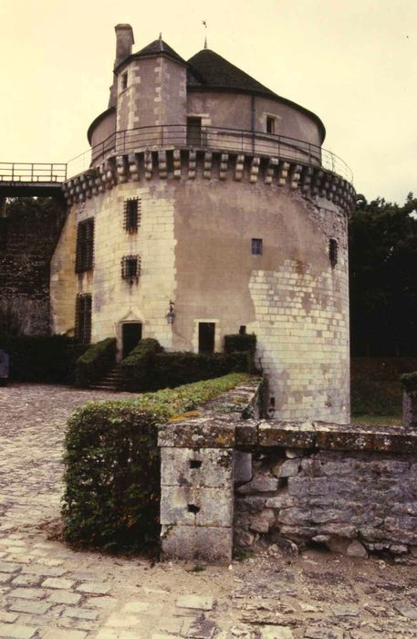 Château : Donjon, vue générale