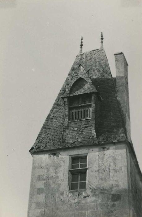 Château : Logis, aile ouest, pavillon, vue générale de la toiture