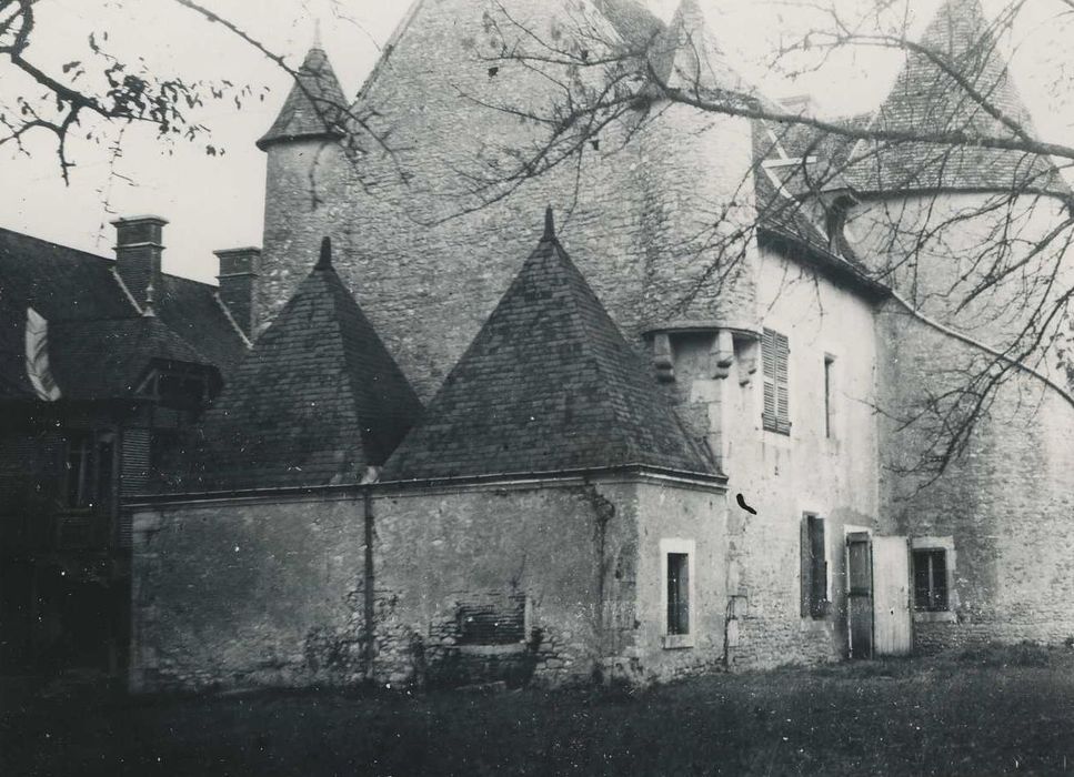 Château du Plessis : Ensemble sud-ouest, vue générale