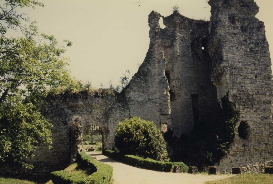 Ensemble castral : Entrée ouest, tour d’angle sud-ouest, vue générale