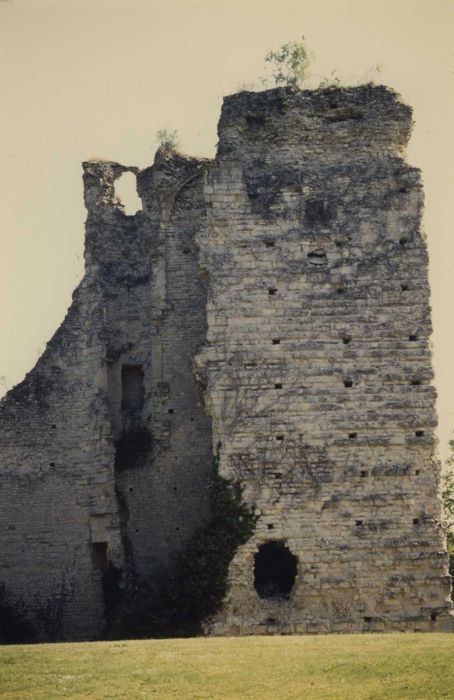 Ensemble castral : Tour d’angle sud-ouest, vue générale