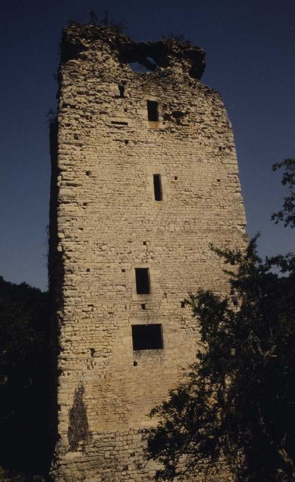 Ensemble castral : Tour d’angle sud-ouest, vue générale