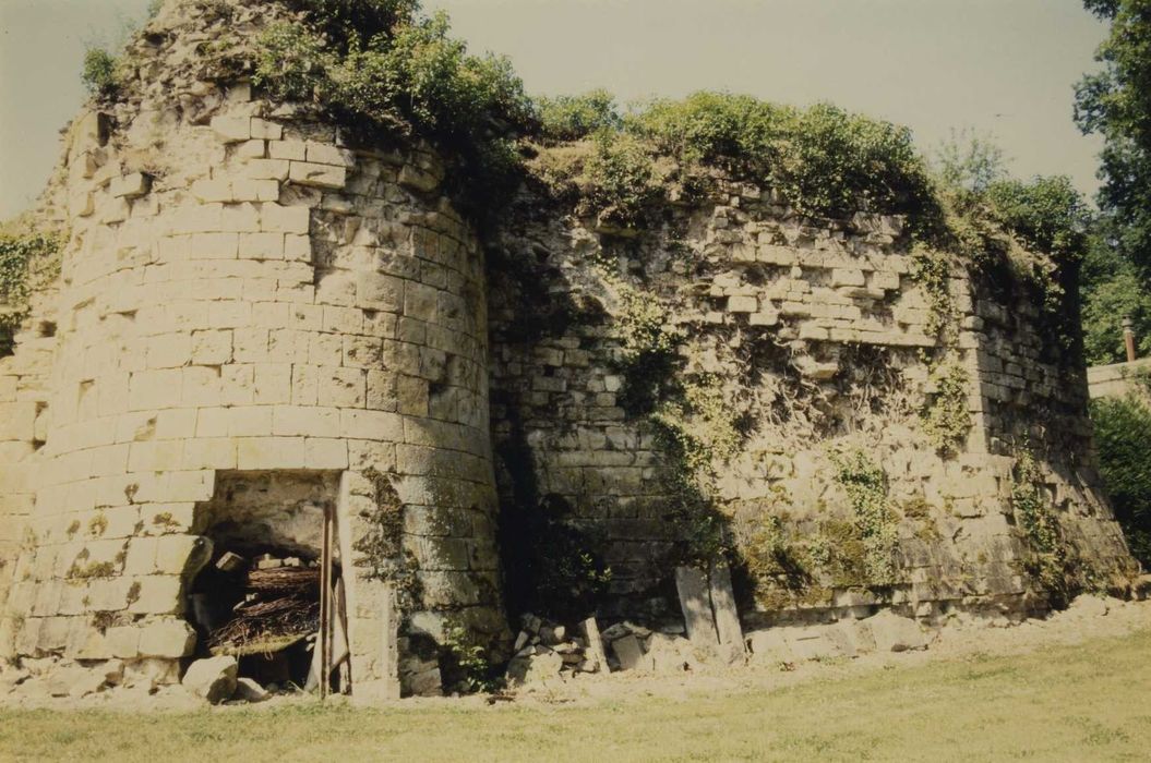 Ensemble castral : Courtine est, vue générale