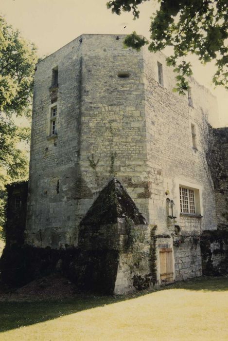 Ensemble castral : Tour dite du Gouverneur, élévation nord, vue générale