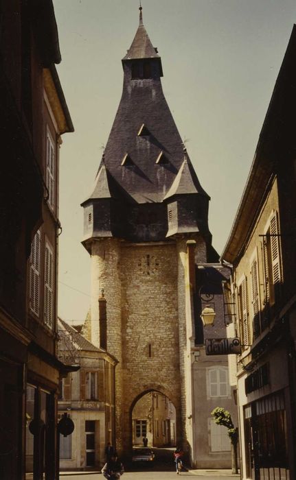 Fortification d'agglomération et château dit La Salle le Roi, ou Palais royal : Elévation est, vue générale