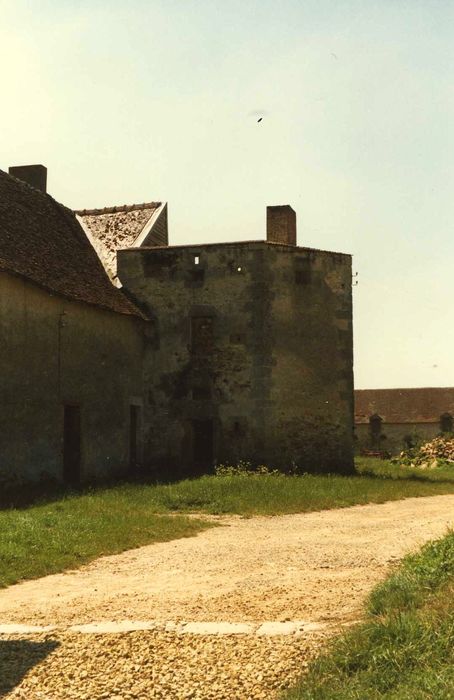 Château de la Maisonfort : Vestiges de la première enceinte, vue générale