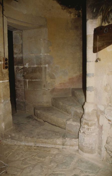 Manoir de Chezelles : Tour nord, escalier à vis, vue partielle