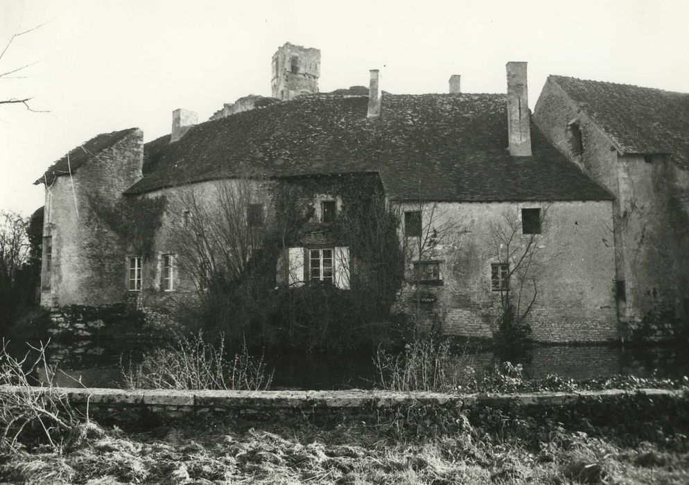 Ruines du château : Ensemble sud-ouest, vue partielle