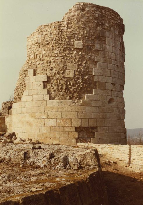 Ancienne forteresse de Montrond : Haute Cour, tour de l’horloge, vue générale