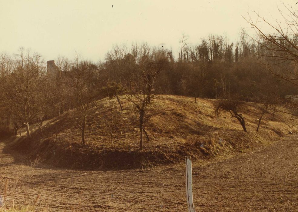 Ancienne forteresse de Montrond : Défenses extérieures, demi-lune du cavalier, vue générale