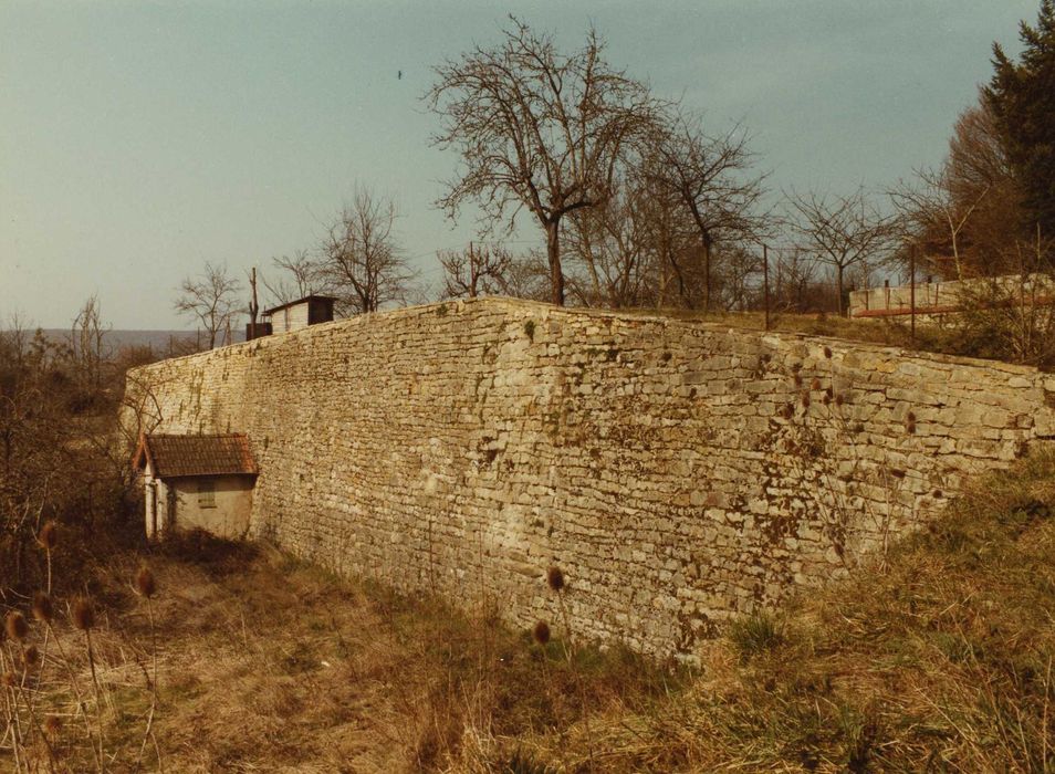 Ancienne forteresse de Montrond : Défenses extérieures, mur ouest du ravelin Saint-Georges, vue générale