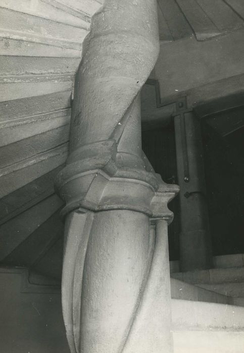 Château : Corps du logis principal, escalier à vis, détail du noyau