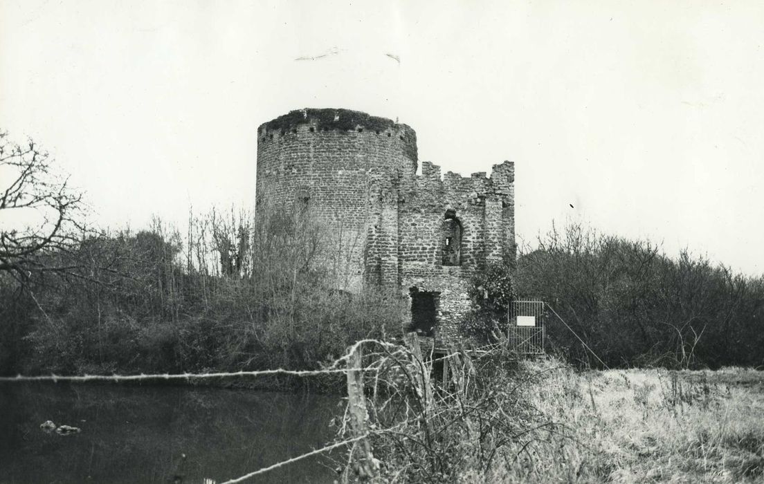 Ruines de la tour de Bois-Ruffin et ses ouvrages avancés : Vue générale des ruines