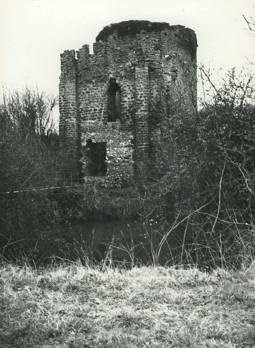 Ruines de la tour de Bois-Ruffin et ses ouvrages avancés : Porte fortifiée, élévation nord, vue générale