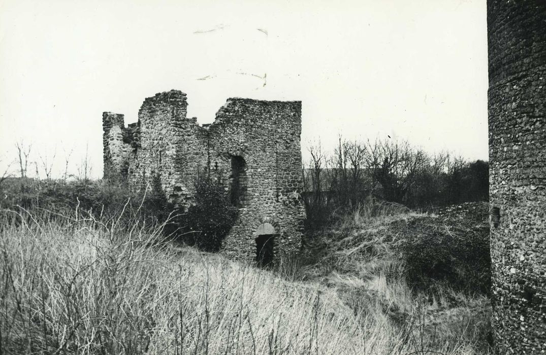 Ruines de la tour de Bois-Ruffin et ses ouvrages avancés : porte fortifiée, élévation sud, vue générale