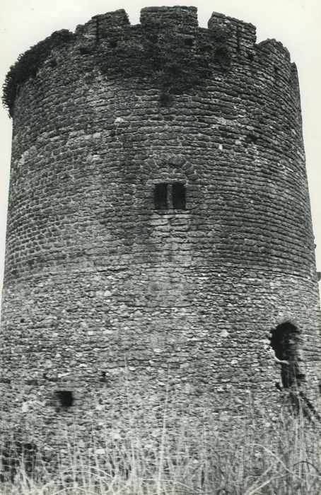 Ruines de la tour de Bois-Ruffin : Vue générale