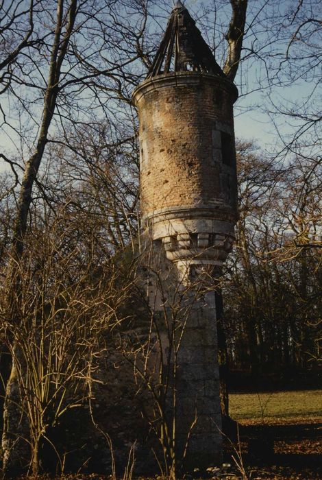 Prestrière de Moineaux : Vue générale des vestiges