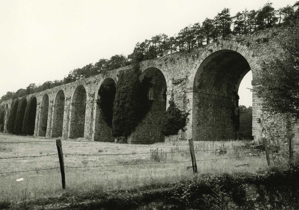 Ancien aqueduc de Pontgouin à Versailles (également sur communes de Maintenon et Pontgouin) : Vue générale de l’aqueduc depuis le CD18 côté Maingournois