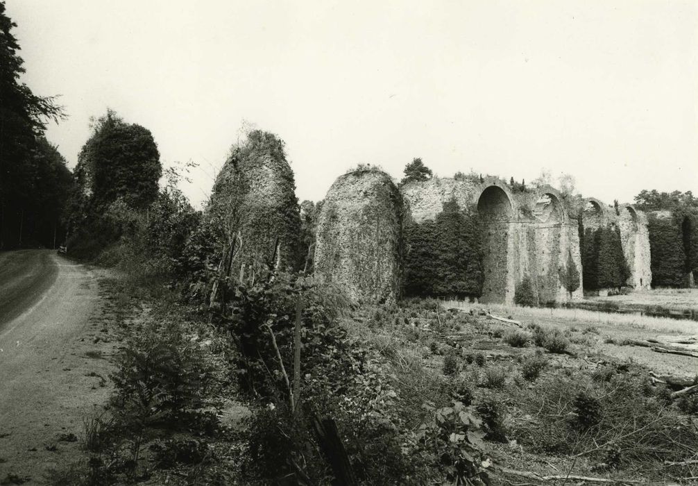 Ancien aqueduc de Pontgouin à Versailles (également sur communes de Maintenon et Pontgouin) : Vue générale de l’aqueduc  depuis le CD16 côté Maingournois