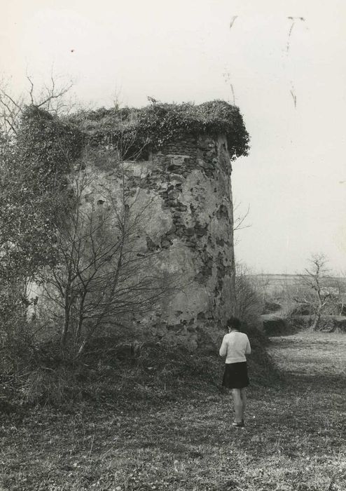 Colombier n°4 : Vue générale