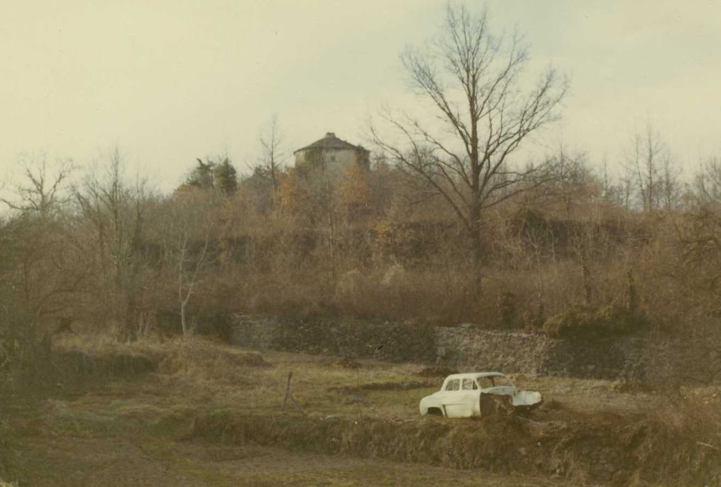 Colombier n°5 : Vue générale du colombier dans son environnement