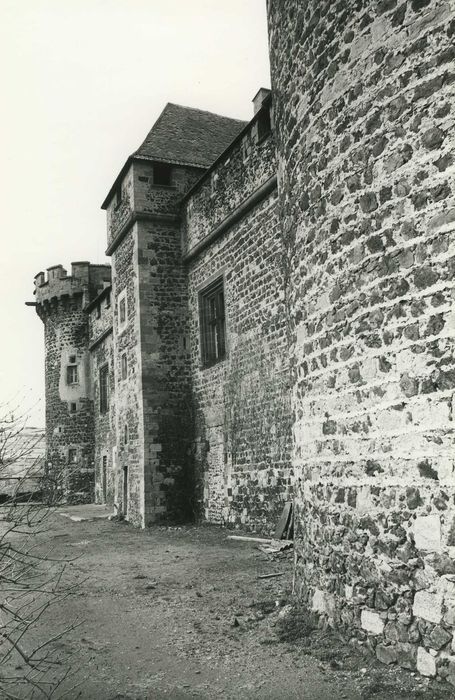 Château fort : Ensemble ouest, vue partielle