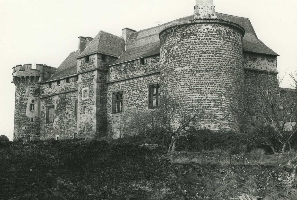 Château fort : Ensemble sud-ouest, vue générale