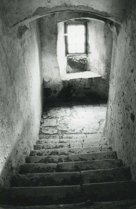 Château de Chabanoles : Escalier, vue partielle