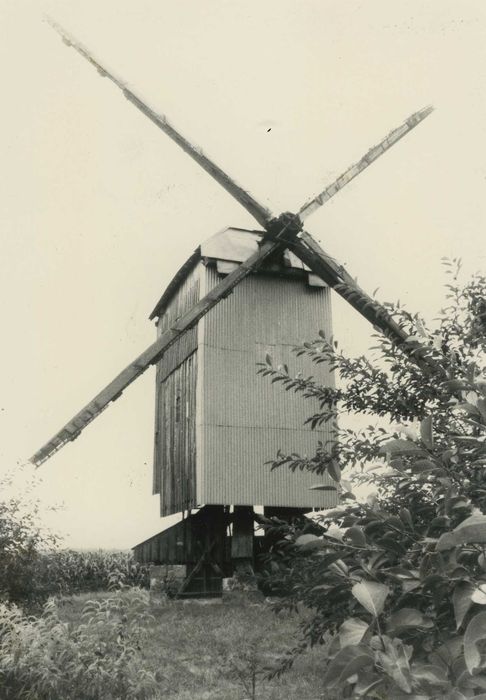 Moulin à vent de Chesnay : Vue générale