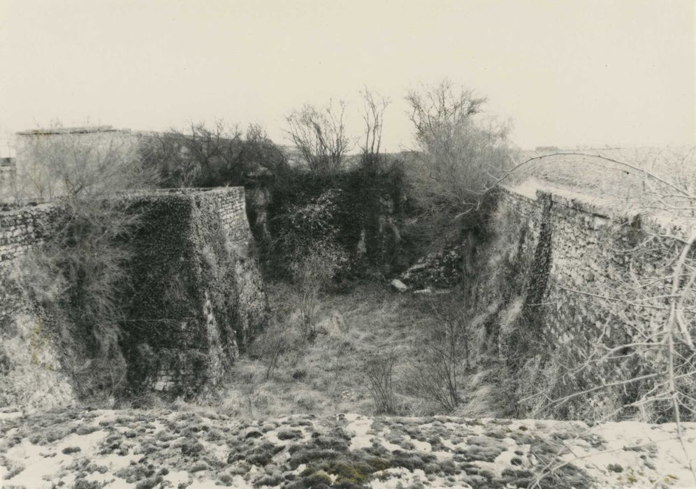 Château de Villepion : Douves ouest, vue générale