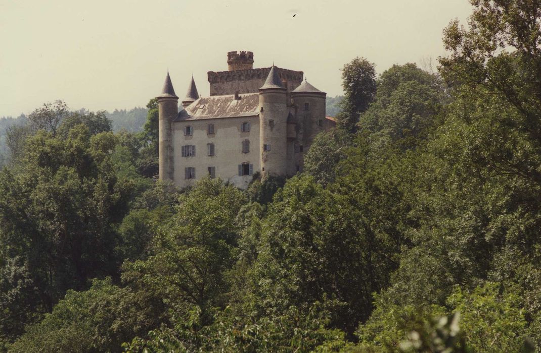 Château de Torsiac : Ensemble nord-est, vue générale