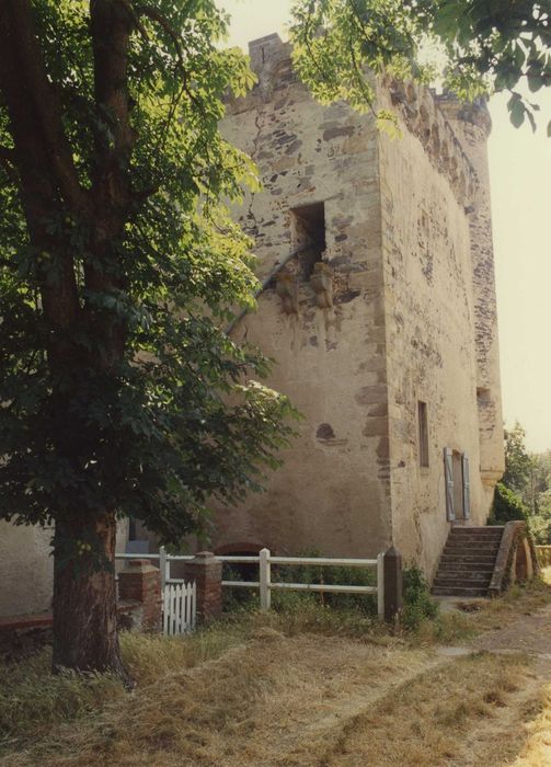 Château de Torsiac : Donjon, élévations nord-ouest, vue partielle