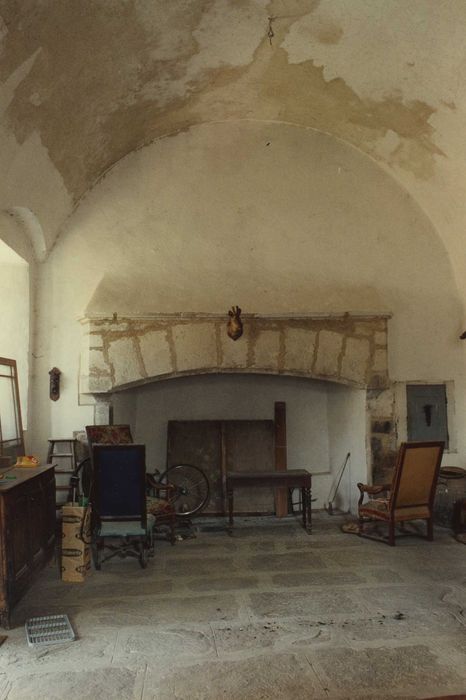 Château de Torsiac : Donjon, Grande salle, cheminée monumentale, vue générale