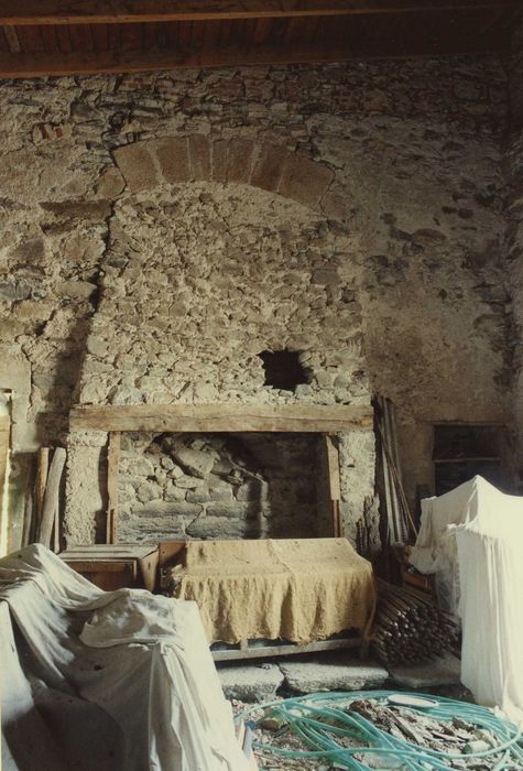 Château de Torsiac : Donjon, salle haute, cheminée, vue générale