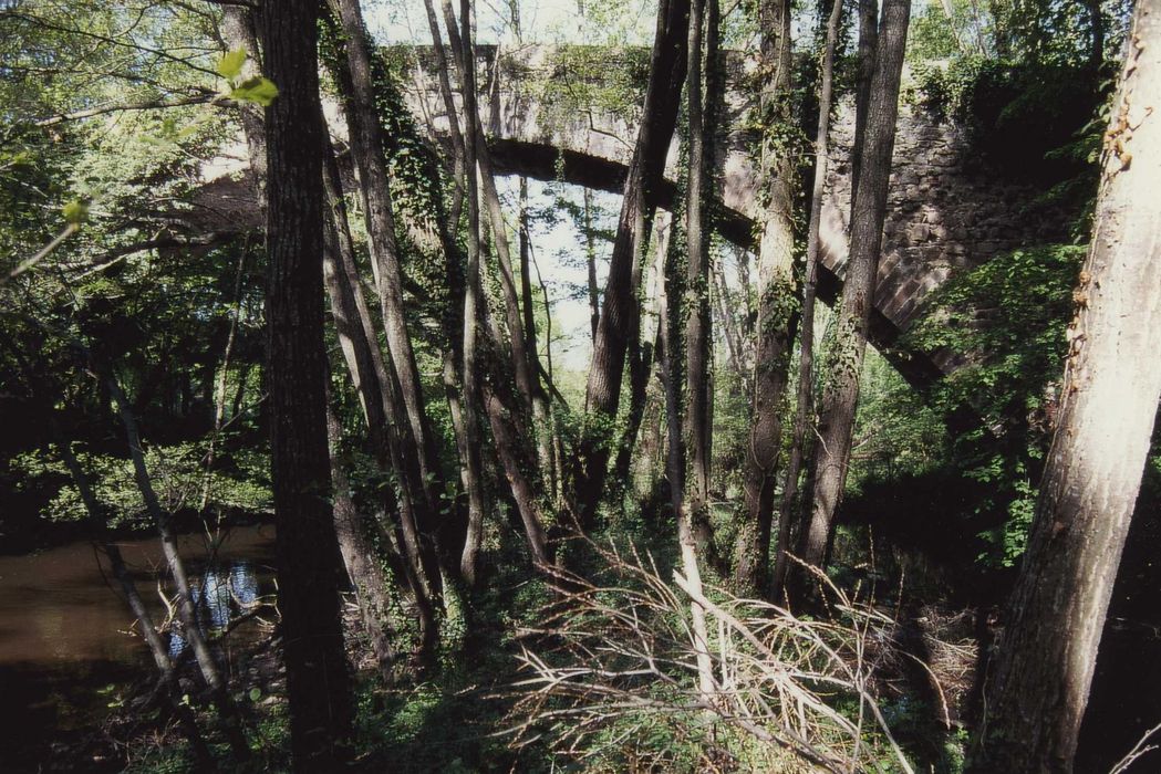 Pont de la Bajasse (également sur commune de Fontannes) : Vue partielle