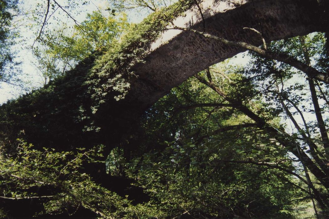 Pont de la Bajasse (également sur commune de Fontannes) : Vue partielle