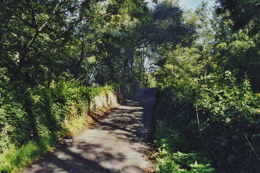 Pont de la Bajasse (également sur commune de Fontannes) : Vue partielle