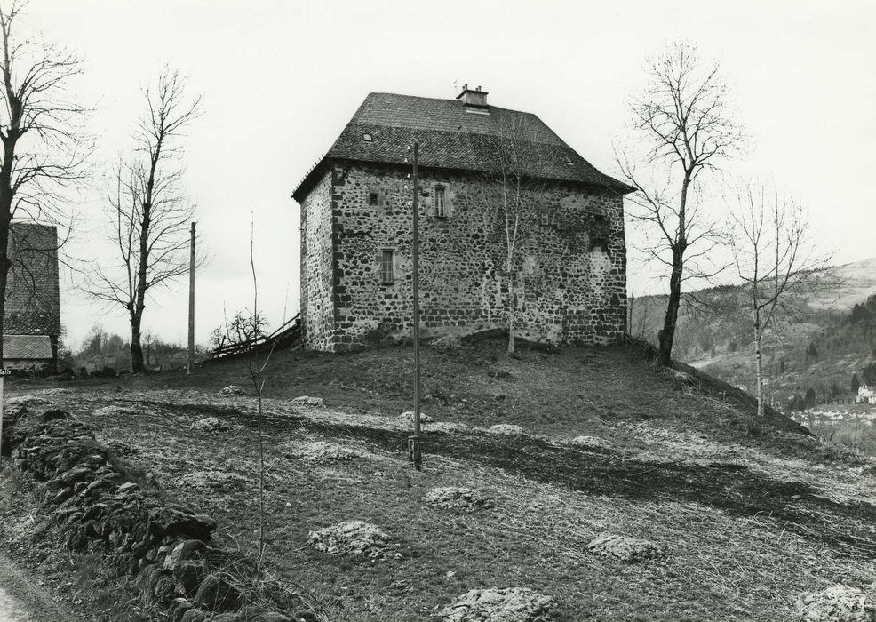 Château de Lasalle : Ensemble nord-est, vue générale