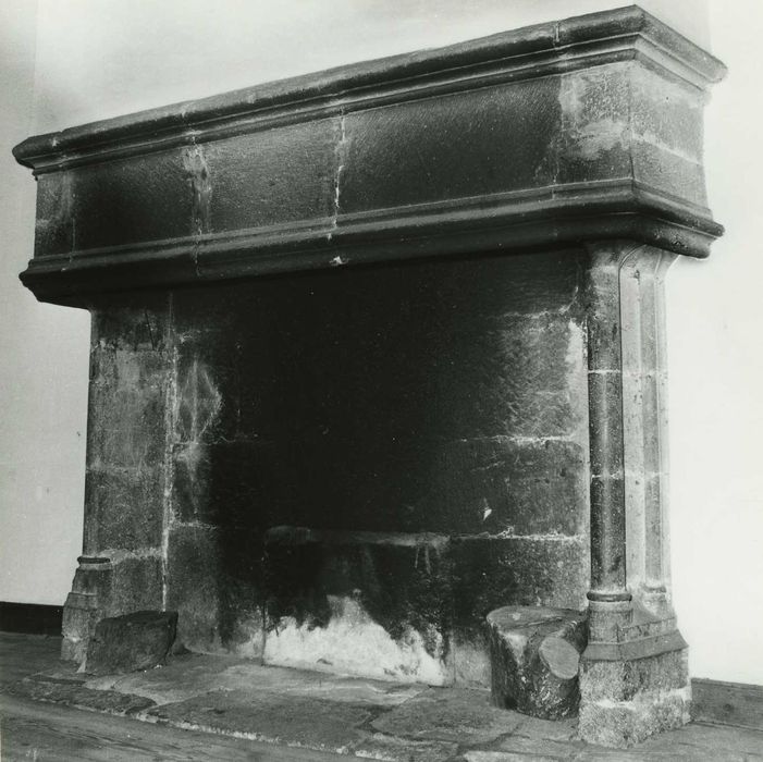 Château de Lasalle : 1er étage, cheminée monumentale, vue générale