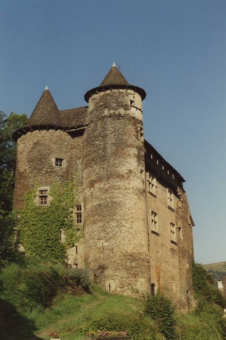 Château fort de Vieillevie : Ensemble sud-ouest, vue générale