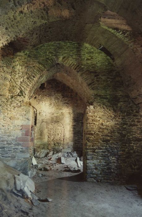 Château fort de Vieillevie : Rez-de-chaussée, grandes salles, vue partielle