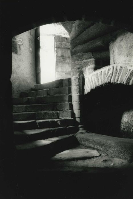 Château fort de Vieillevie : Escalier à vis, vue partielle